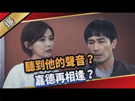 八點檔 男演員|三立電視戲劇節目列表